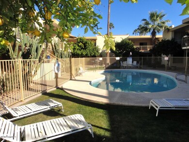 Community pool