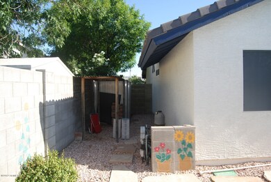 Backyard3