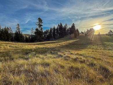 Tbd Mountain Moose Rd, Anaconda, MT 59711 - photo 3