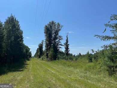 001 Cleghorn Dr, Tallassee, AL 36078 - photo 2