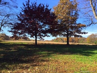 137 Potts Grant Ln, Statesville, NC 28625 - photo 5