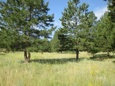 Field