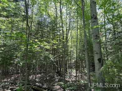 Parcel A Webb Rd, Burt Township, MI 49839 - photo 3