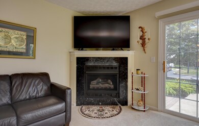 6776 Lagrange Dr unit 60E, Canal Winchester, OH 43110 - photo 4