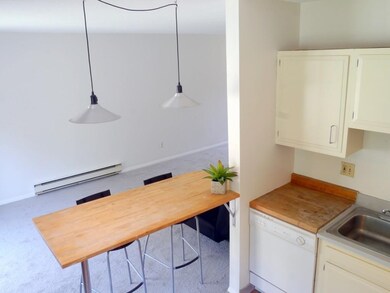 170 E Hadley Rd unit 12, Amherst, MA 01002 - photo 5