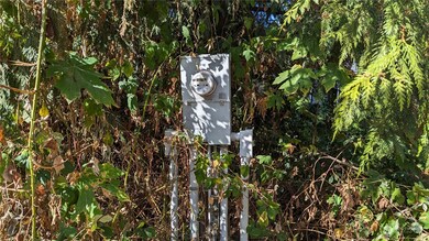 15516 248th St SE, Graham, WA 98338 - photo 2