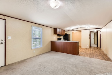 4423 E Houston St, San Antonio, TX 78220 - photo 4