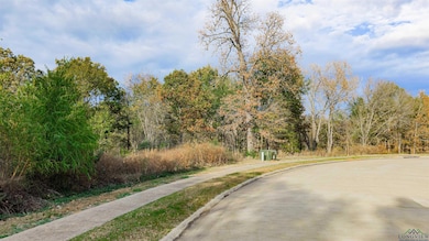 0000 Savannah Hills Ln, Longview, TX 75605 - photo 7