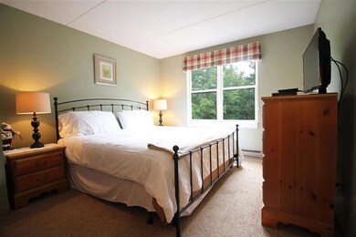 28 Packard Rd S unit 316, Waterville Valley, NH 03215 - photo 4