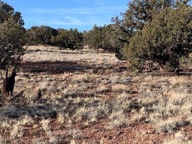 grass and trees