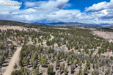 1430 Singletree Rd, Hartsel, CO 80449 - photo 7