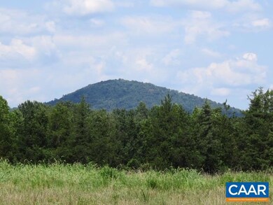 4701 Wesley Chapel Rd, Free Union, VA 22940 - photo 6