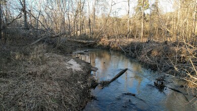 0 Jefferson Davis Rd unit 25510658, Mountville, SC 29370 - photo 3