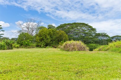 28-1168 Loa Rd, Pepeekeo, HI 96783 - photo 5