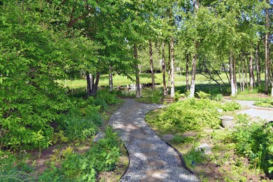 Trail Leading from the House to the Pond