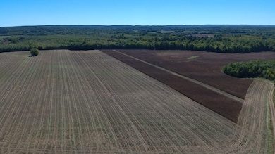 0 Teal Ln unit 10183549, Savannah, TN 38372 - photo 4