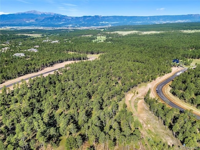 14832 Quartz Creek Dr unit 28, Black Forest, CO 80908 - photo 5