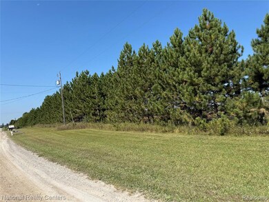 12790 Behning Rd, Ossineke, MI 49766 - photo 7