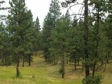 Nhn Torto Loop, Kila, MT 59920 - photo 2