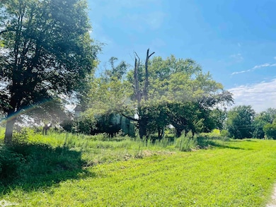 1000 Ellison Creek Rd, Carman, IL 61425 - photo 5