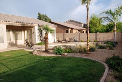 Back Yard - 2