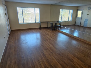 Chapel Hill West unit 414, Framingham, MA 01702 - photo 3