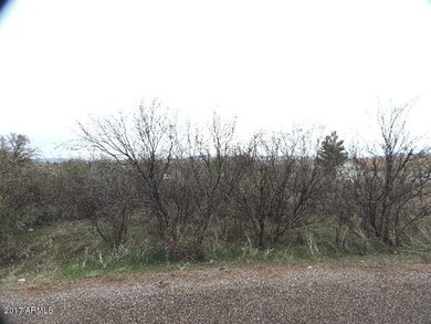 Natural vegetation 2