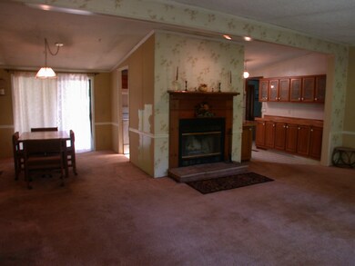 Fireplace in Living Room