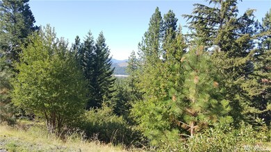 0 Breckenridge Dr unit 1006445, Ronald, WA 98940 - photo 5