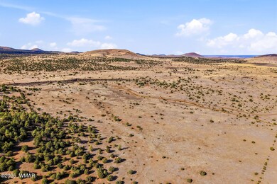 00 Tbd, Greer, AZ 85927 - photo 6