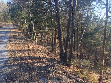 Lot 26 Briar Hill, Ruth B Rural Township, MO 65686 - photo 2