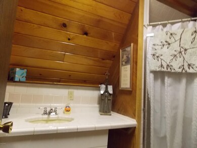 2882 big pine 007