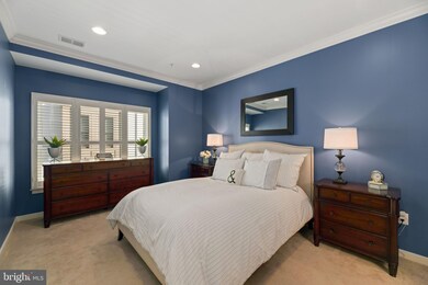 827 N Alfred St, Alexandria, VA 22314 - photo 4