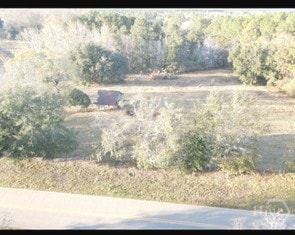 8893 Sunbury Rd, Claxton, GA 30417 - photo 6