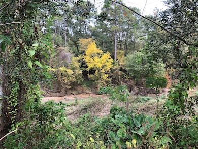 10102 Briar Dr, Houston, TX 77042 - photo 2