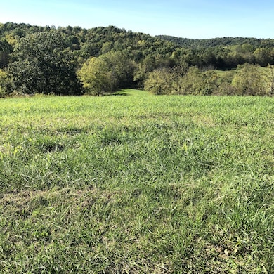 6 S Chowning Ln, Bloomfield, KY 40008 - photo 3