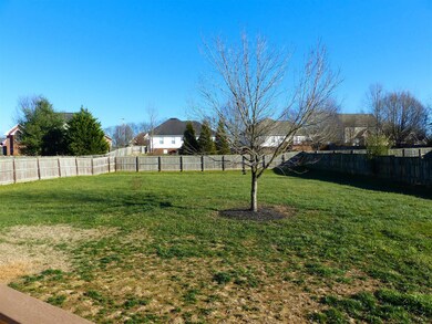 The backyard is perfect for kids and pets. 