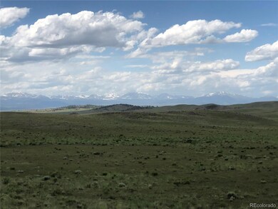 1341 Xtha Trail, Hartsel, CO 80449 - photo 5