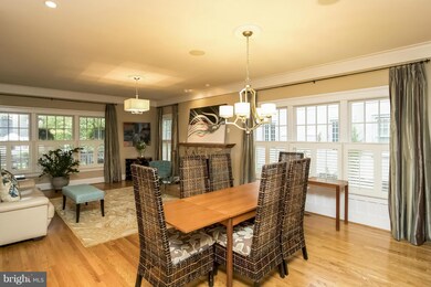 3920 8th St S, Arlington, VA 22204 - photo 6