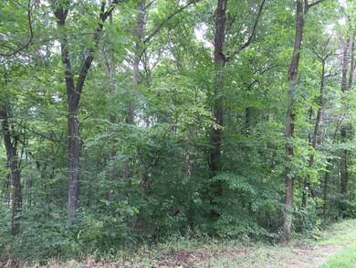 0 Tolliver Rd unit Lot A 216031333, Logan, OH 43138 - photo 4