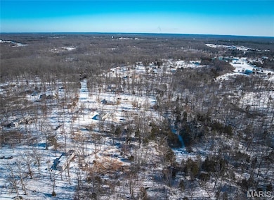 23001 Abrolat Tract 5, Wright City, MO 63390 - photo 2