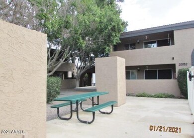 picnic area