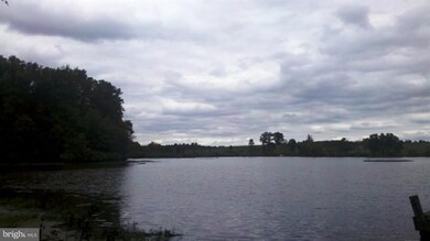 0 N Anna Dr unit 1004566320, Louisa, VA 23093 - photo 2