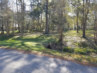 429 County Road 432, Dayton, TX 77535 - photo 7