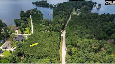 0 Three Point Rd, Chapin, SC 29036 - photo 2