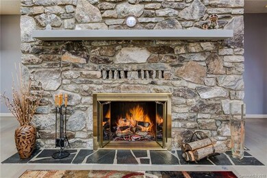 Natural Wood Burning Fire place is equipped with '