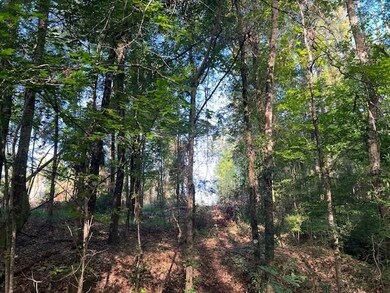 0 Curry Rd, Monroeville, AL 36460 - photo 4