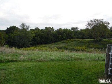 3016 N Taylor Rd, Hanna City, IL 61536 - photo 4