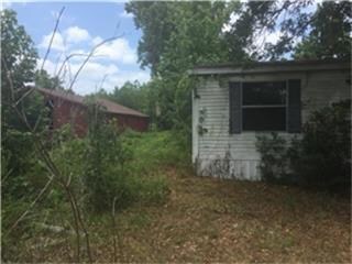 27541 Carraway Ln, Magnolia, TX 77354 - photo 5