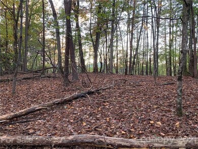 30 Granny Smith Ln unit 30, Lake Lure, NC 28746 - photo 4